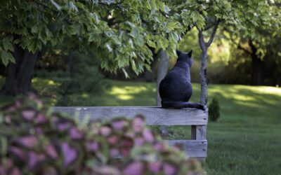 Péntek 13-a van – Tényleg balszerencsés ez a nap?