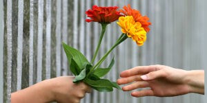 A Kedvesség Világnapjára (Illusztráció: Pixabay)