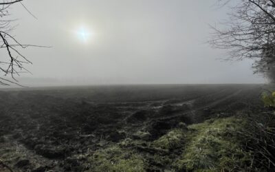 A mostani köd semmi sem volt a csütörtökre előrejelzetthez képest