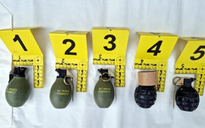 Robbanószerkezeteket, puskákat és pisztolyokat is találtak egy bánáti razzia során (Fotók)