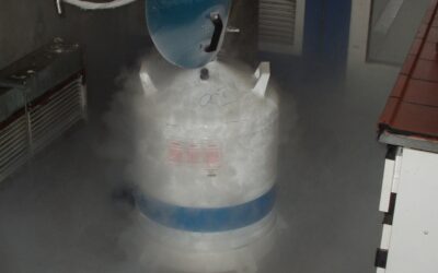 Először végeznek ki nitrogéngázzal embert a világon