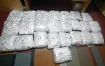 Huszonhét kilogramm droggal bukott le a belgrádi díler