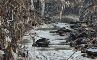 Így néz ki egy hegyi patak Szerbiában