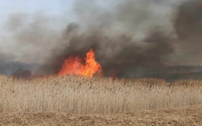 Ismét lángol a kelebiai rét
