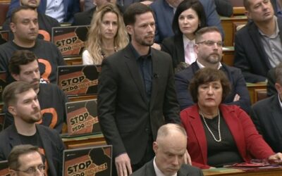 Stop pedofidesz, ki a felelős?
