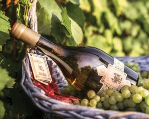 rochonczy krokan fleur