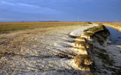 Leégett harminc hektárnyi védett terület Zombornál