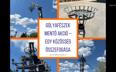 Közösségi összefogással mentettek gólyafészket Zentán