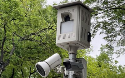 A Szabadkán kihelyezett kamerák működnek, eddig csaknem nyolcszáz szabálysértést vettek fel Ezekben az utcákban volt a legtöbb szabálysértés