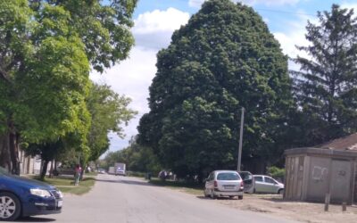 Baleset Szabadkán a Bajai úton, nehézkes a közlekedés