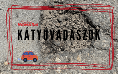 Ismét Szabadkán zötyögött a Kátyúvadászok csapata Olyan kátyút is találtunk, amelyet hat hónapja nem javítottak ki