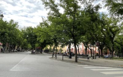 A Tejpiac mellett nem lehet majd közlekedni, a buszt is elterelik A sörfesztivál miatt két napra lezárják a Zsinagóga teret Szabadkán