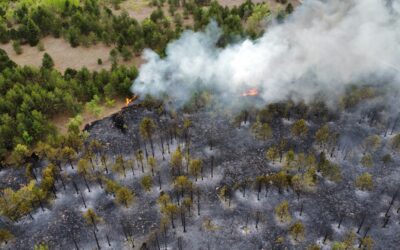 Hatszázhúsz helyen volt tűz egyetlen nap alatt az országban