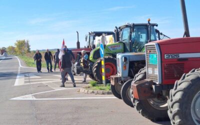 Az aradáci gazdák kiálltak a BIA által beidézett termelők mellett