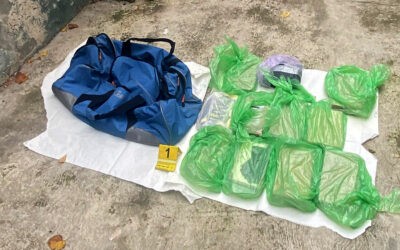 Tizenöt kiló kokaint és egy kiló MDMA-t foglaltak le a fővárosi rendőrök