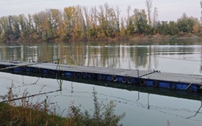 A szakértők nem javasolják a Tisza vizében való fürdést Nem szennyezés, a hőség okozta a folyóban a rendkívüli állapotot és a halpusztulást - Július 8-án újabb mintavétel várható