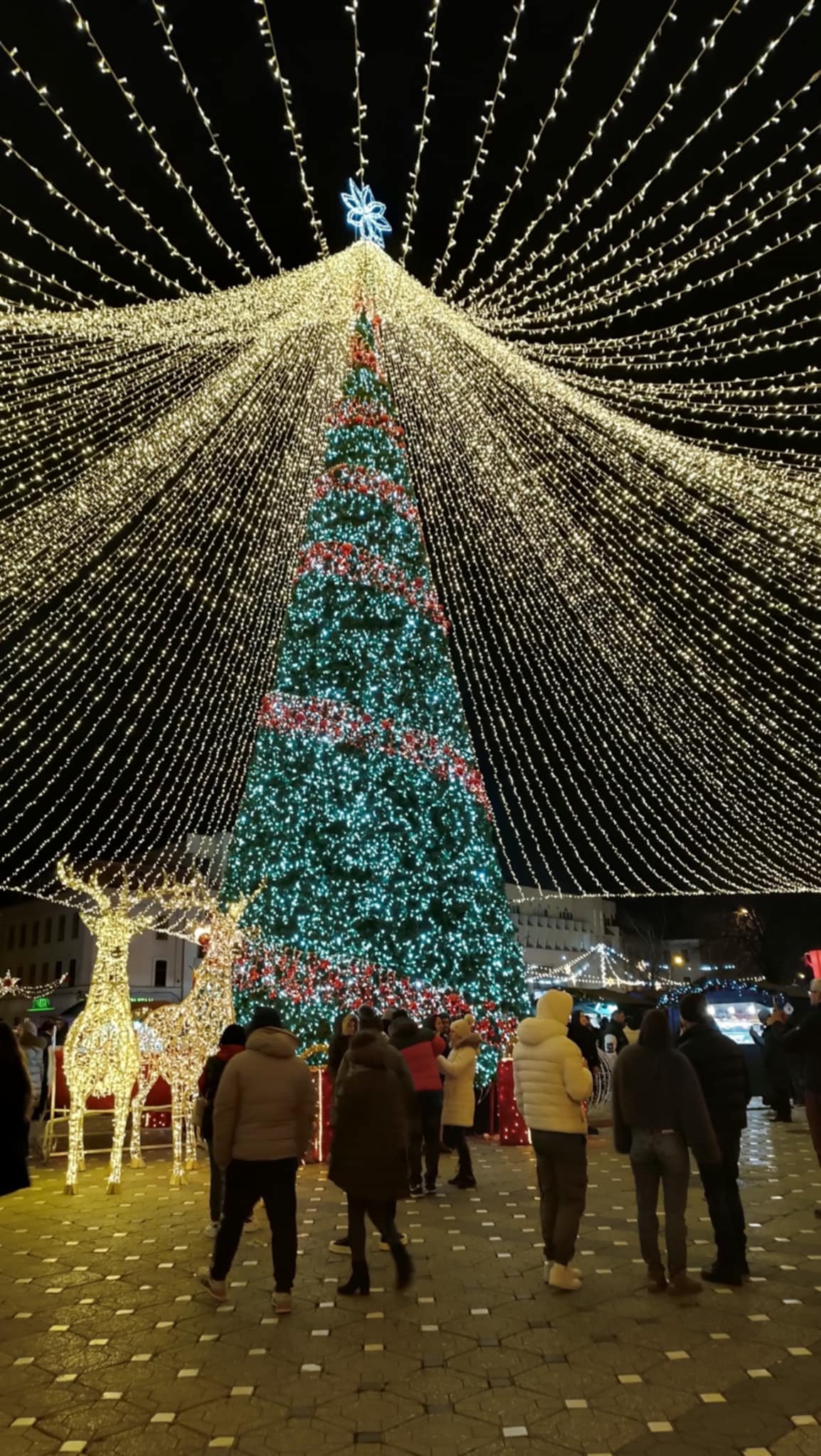 A dekoráció gyönyörű