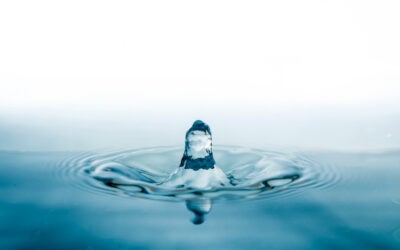 A víz feladatai az emberi szervezetben