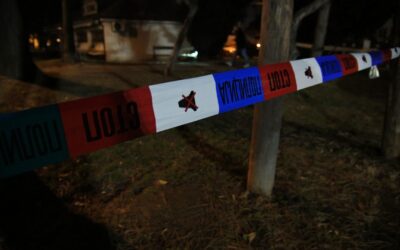 Erre nincsenek szavak – levágta a kutya fejét és a parkban hagyta