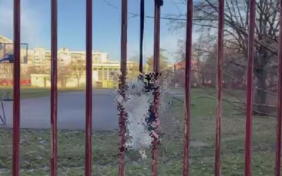 Felakasztottak egy nyulat egy általános iskola kerítésére