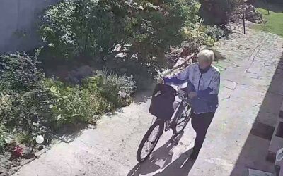 Minden fontos információ egy helyen az eltűnt adai asszonnyal kapcsolatban