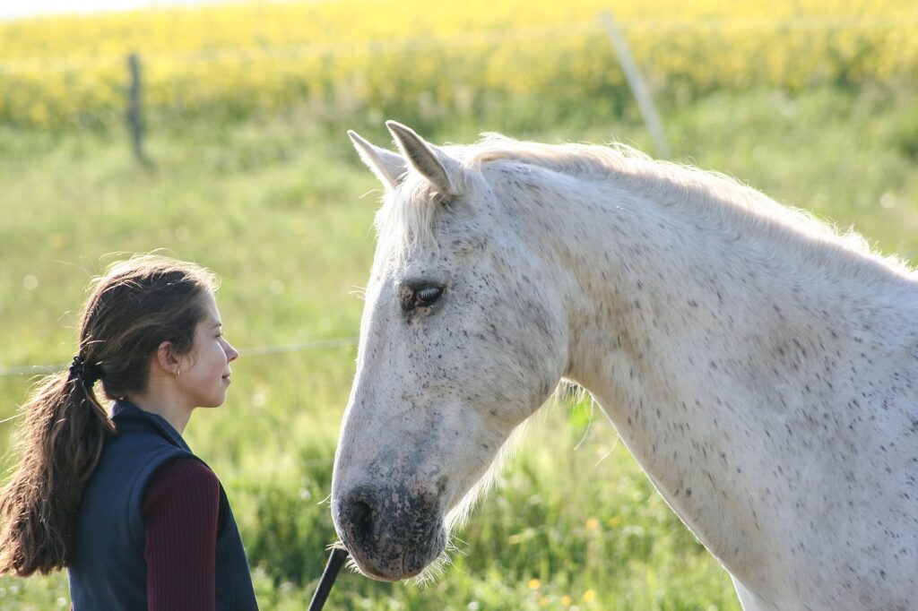 Lókiképzés, erőszakmentesen (Fotó: Tóth Imre)