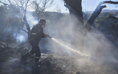 Ellenőrzés alatt a tasszoszi erdőtűz