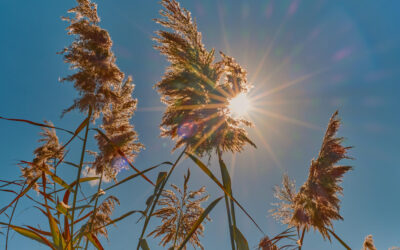 Megjelent a hosszú távú időjárás-előrejelzés