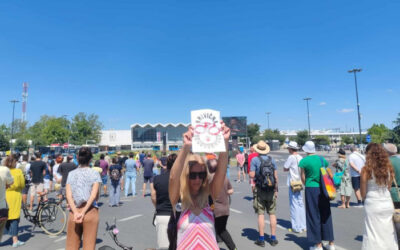 Tizenhat percre leállt a nyüzsgés Újvidéken (fotók+videó)