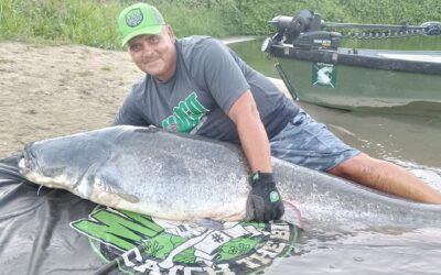 Harcsagodzillát fogtak ki a Tiszából +VIDEÓ