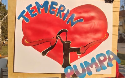 Ivóvizet és rendkívüli választásokat követel a temeriniek egy csoportja