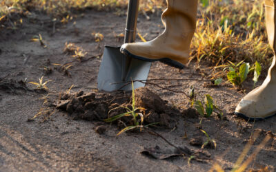 Rendőr is segítette a vračari klánt, a sírgödröt ásta, amikor rajtakapták