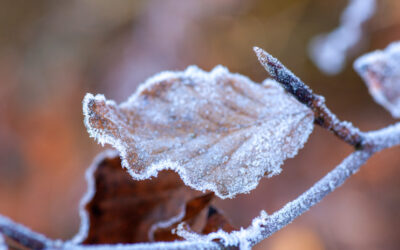 Alig lesz néhány fagyos napunk decemberben