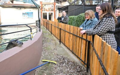 „Elfogadhatatlan, hogy aki állatokkal foglalkozik, felvegye őket a haláluk előtti állapotukban”