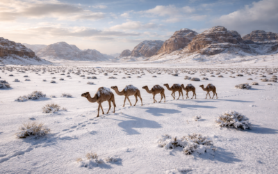 Havazott a szaúdi sivatagban (videóval)