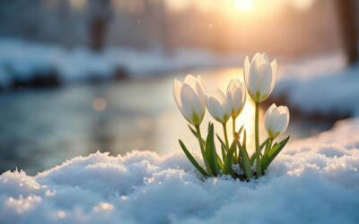 Itt a legújabb előrejelzés, február elejéig ilyen időnk lesz