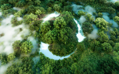 A jövő nem egy opció