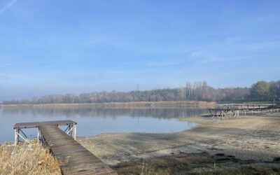 „Kétségbe vagyunk esve” A Tiszából kellene feltölteni a Topolyai-tavat – Erről is olvashatnak a januári Családi Körben