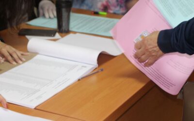 A választói névjegyzék felülvizsgálatát végző bizottságba a VMSZ Vujičićet és Butást jelölte