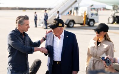 „Trump egy T. Rex”