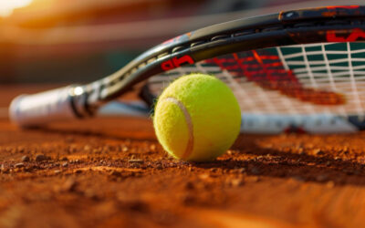 Sakk-matt a Szerb Teniszszövetségnek? Novak Đoković kérdez, a minisztérium mélyen hallgat a támogatás csökkentéséről