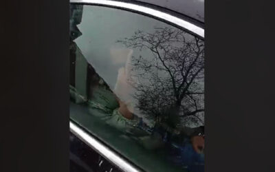 „Étel van a dobozban, menj az anyád picsájába, tűnj innen” (videó)