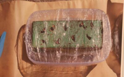 Volt tűzszerész: Négy kilogram robbanóanyag jelentős mennyiségnek számít