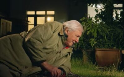 David Attenborough 100 éves