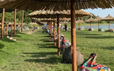 Palicsi Park Kft.: Vannak a strandon napernyők, amelyeket bárki ingyenesen használhat
