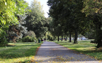 Megtalálták a Szabadkán eltűnt fiút