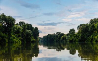 Magyarkanizsánál a Tisza vízminősége megfelel az előírásoknak