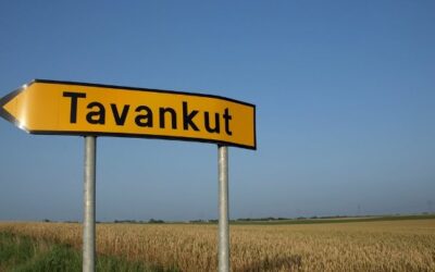 Ökológiai Mozgalom: Tavankúton kiszáradnak a kutak, a helyiek kénytelenek vizet vásárolni