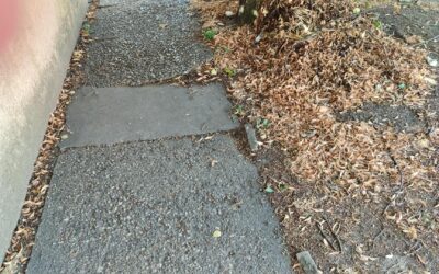 Kalákában újítaná fel a járdákat a zentai önkormányzat