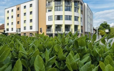 Több mint 265 ezer euróba kerülhet a topolyai önkormányzat új épületének a berendezése